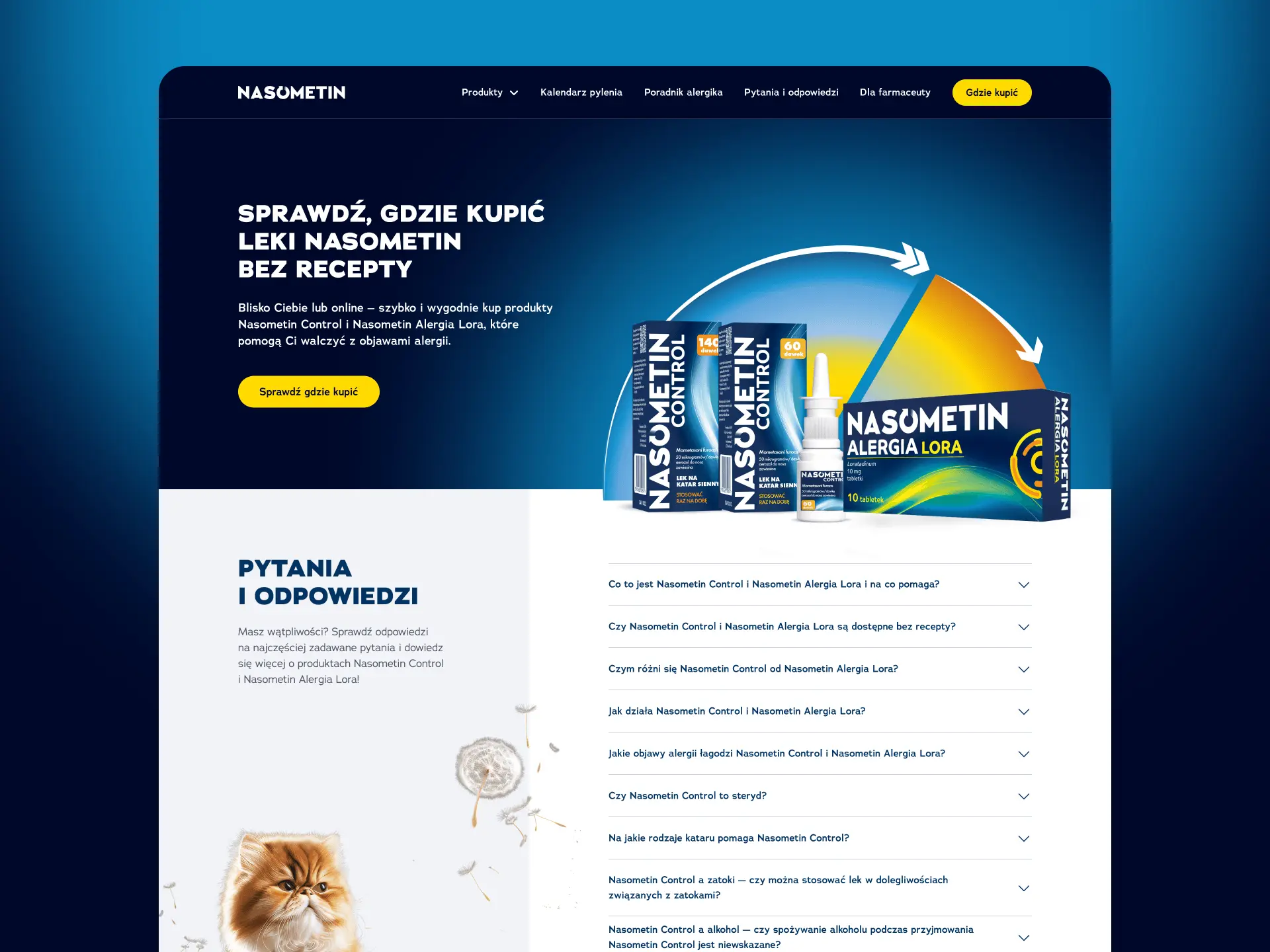 Kluczowe elementy projektu